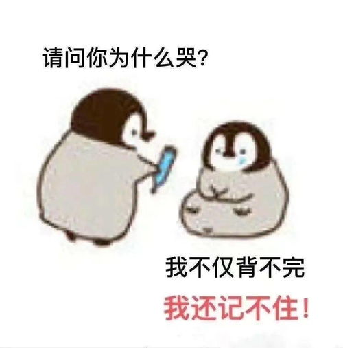 人生就是如此苦闷是什么意思