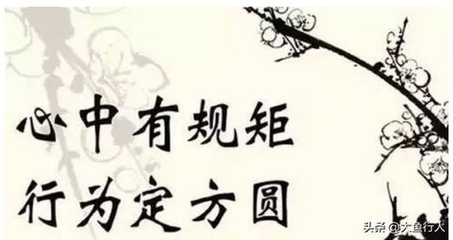 中规中矩读音 中规中矩什么意思