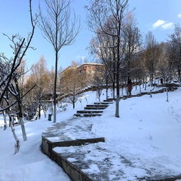 报仇雪恨的雪什么意思啊，报仇雪恨的雪怎么解释