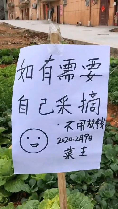 略表心意和聊表心意区别，略表心意是啥意思