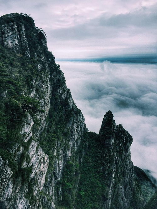 李白的七绝诗《登庐山五老峰》 赏析