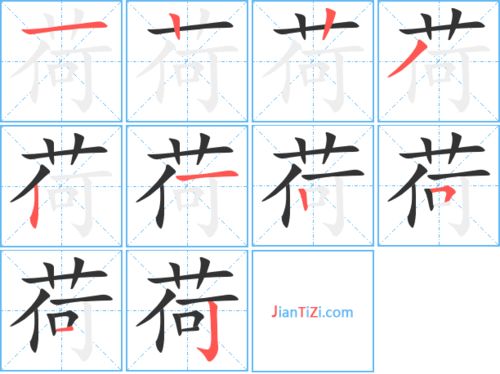 荷的笔顺笔画