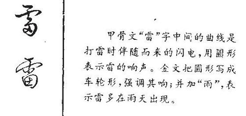 花一半叶一半是什么