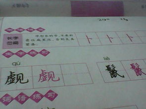_鬣怎么读