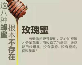 蜜蜂蜂蜜照样子写词语怎么写?