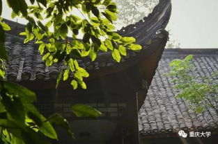 草木葳蕤下一句，草木葳蕤是什么季节