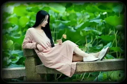 笙箫是什么意思,词语解释