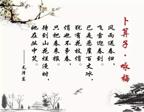 咏梅诗有哪些?