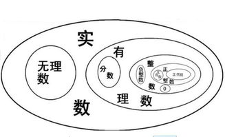 奇数是什么意思?
