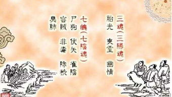 魄门位于哪里，魄门亦为五脏使