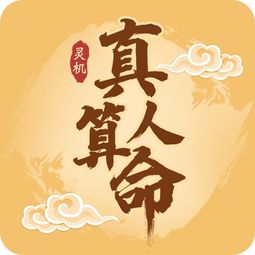 灵机文化麦玲玲2023，灵机ai