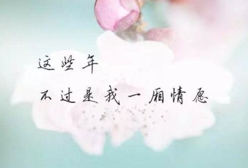 女生说爱而不得是什么意思，有人得而不惜,有人爱而不得是什么意思