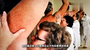 景舟石瓢，景彤