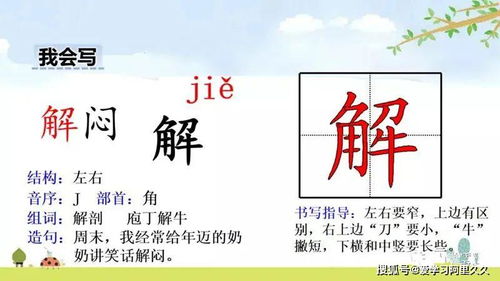 惰怎么读 拼音，慎怎么读