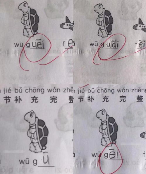 乌龟的拼音