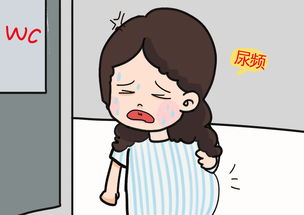 孤独惆怅的拼音，愁怅与惆怅的拼音