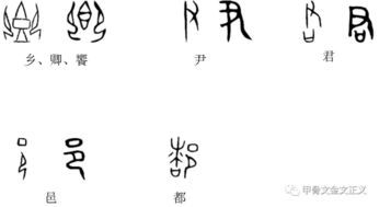 轻的意思解释，菀菀类卿的意思