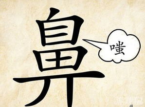 鼻的成语有哪些