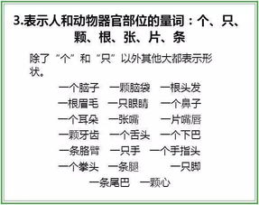 什么叫量词