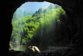 归隐山林与世无争的美好句子，归隐乡野
