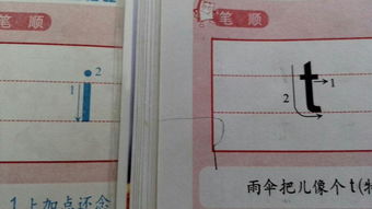汉语拼音的t笔画顺序是什么,晕了
