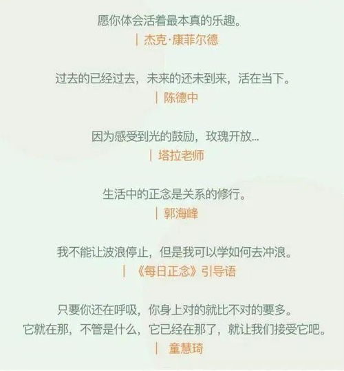 娓娓而谈是什么意思