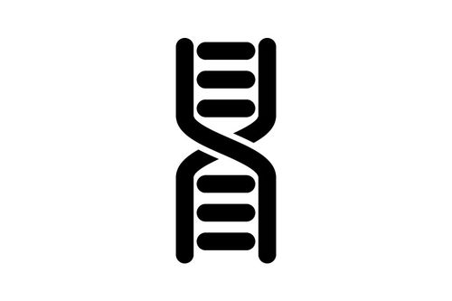 国字什么结构 国字的结构是什么