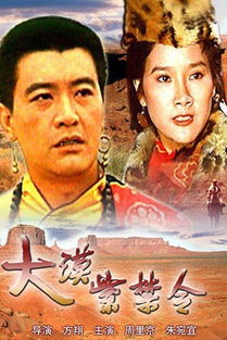 大漠紫禁令的主演简介