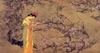 花开堪折什么意思，花开堪折直须折全文免费阅读