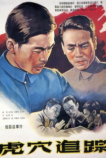 跟踪追击电影免费观看完整版