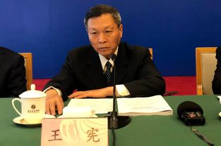 王宪玲，王宪嫄