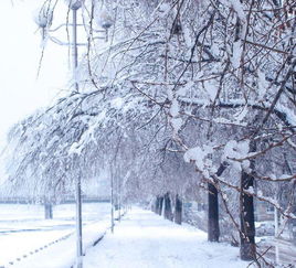 下雪造句一年级简单的