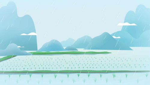 我国江淮流域每年初夏连阴雨叫啥