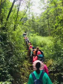 “太不久,太阳依约下山了”一句中,“依约”一词应怎样解释?