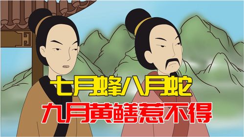 惹的意思是什么