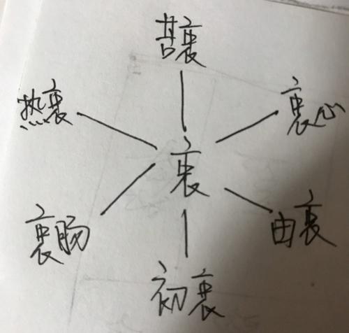衷组词语词，衷组词语和拼音怎么写的呀