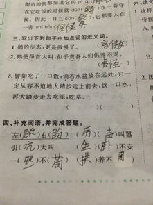 到处的近义词是什么字呢一年级，到处的近义词是什么字啊