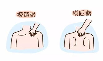 搔怎么读组词，捷怎么读