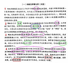 强调的近义词是什么
