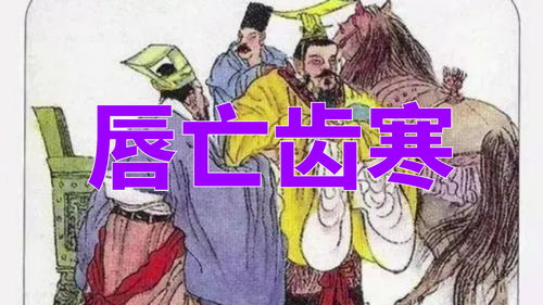 成语唇亡齿寒的意思和典故