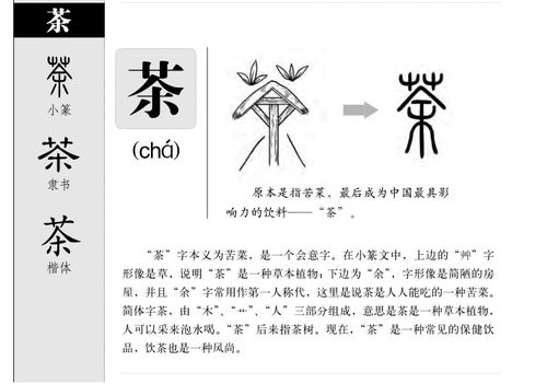 茶的拼音怎么读，荣的拼音