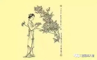确怎么读，硝唑怎么读