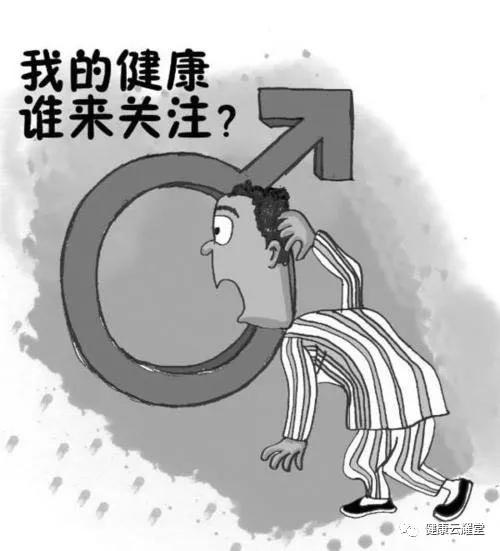 对生和轮生的定义