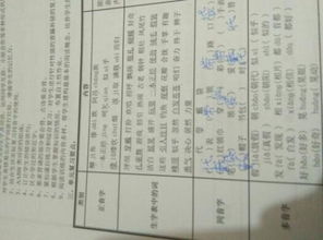 贷的组词，袋的组词二年级上册
