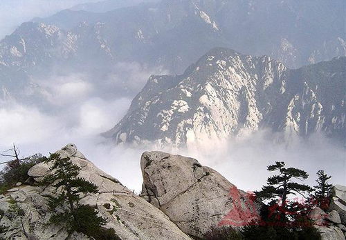 华山读音是什么意思，济南华山读音
