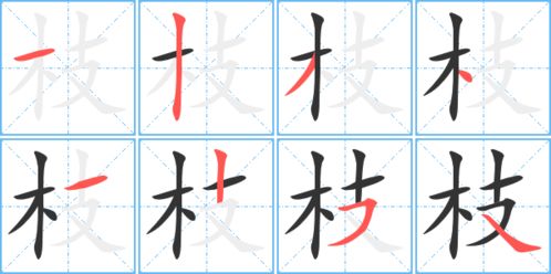 竹笔顺怎么写，枝笔顺组词