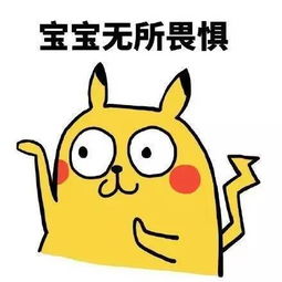 无所畏惧的意思是什么