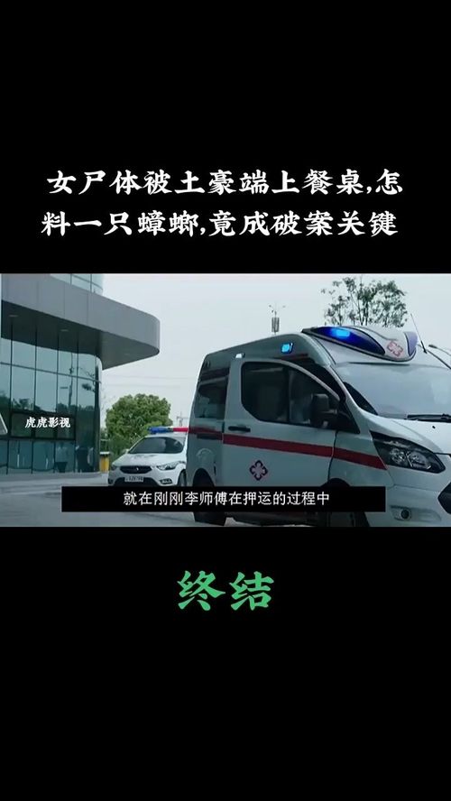 惭怍怎么读音，惭怍歉疚