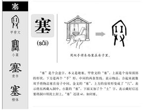 瑚字组词两个字，瑚的组词是什么呀