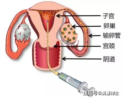 师传身授的意思 师传身授出自哪里